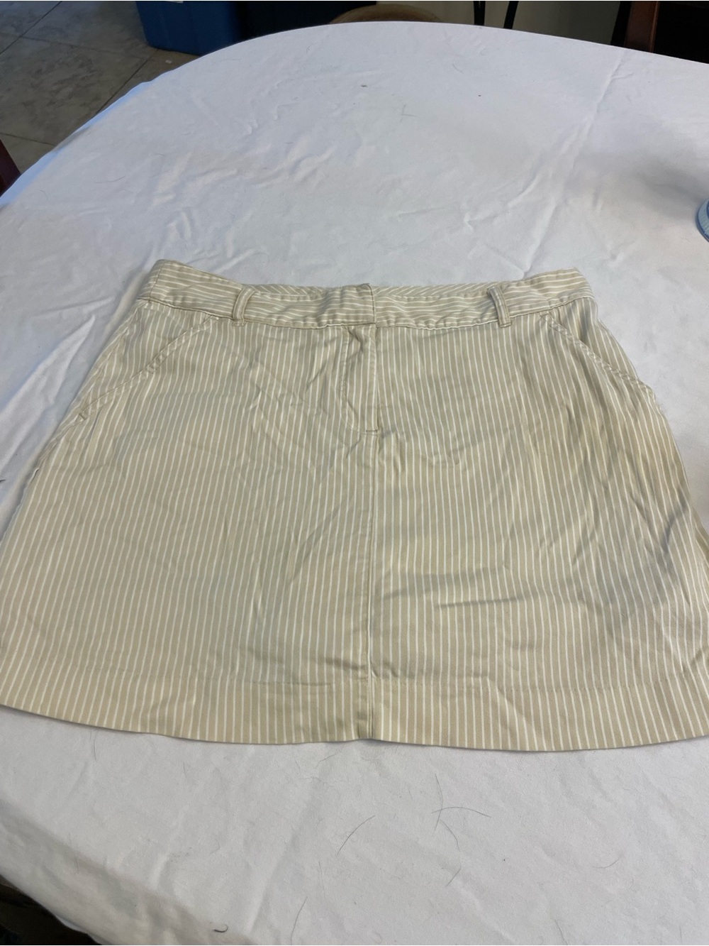 Classic Cream Stripe A-Line Skirt - Women's